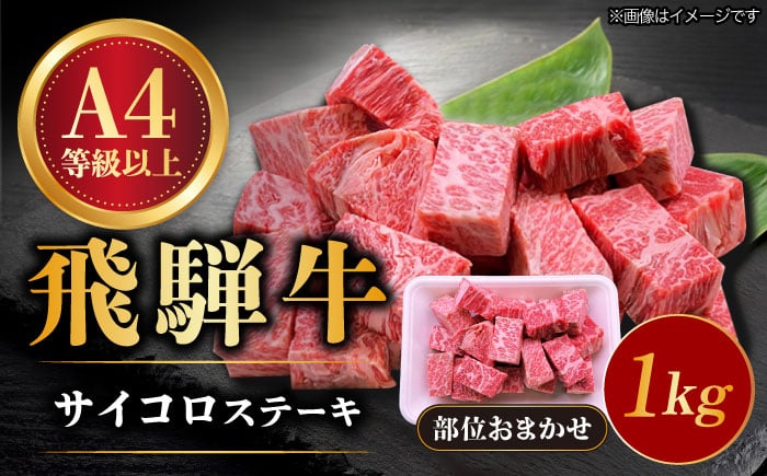 
飛騨牛 サイコロステーキ 部位おまかせ 1kg A4等級以上 多治見市 / 渡辺精肉店 和牛 ブランド牛 牛肉 [TAZ042]
