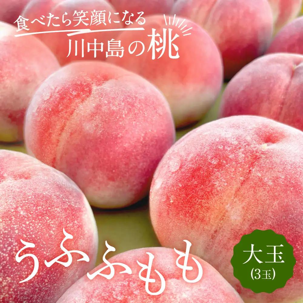 すーさんの果樹屋　【先行予約】川中島の桃 大玉3玉 品種おまかせ 8月中旬～8月下旬発送予定 |桃 フルーツ