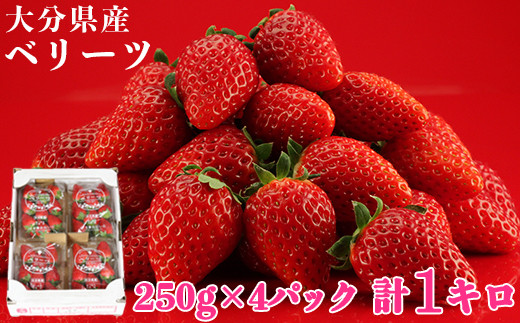 
            大分県産 ベリーツ 約1kg（約250g×4パック）／ いちご イチゴ 1kg 先行予約 1月 2月 甘い フルーツ 苺 スイーツ ＜133-001_5＞
          