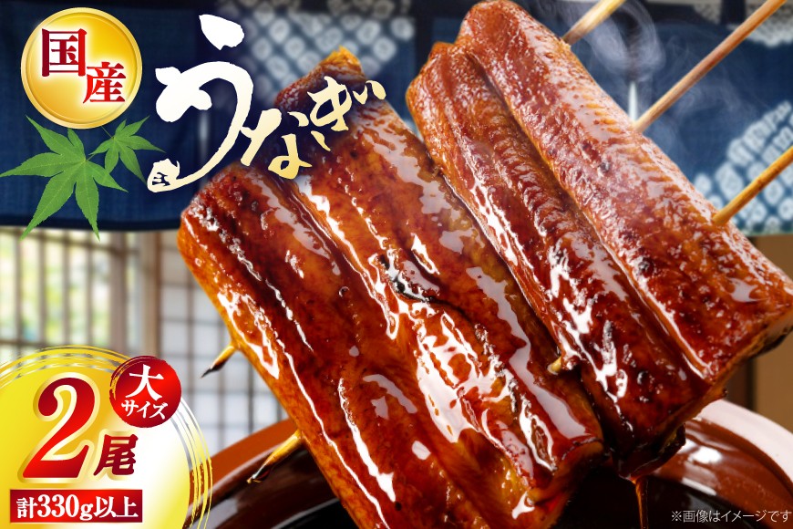 
                  うなぎ 国産 日向うなぎ 蒲焼 大 2尾 計330g以上 [日向サンパーク 宮崎県 日向市 452061756] ギフト 小分け 真空パック 鰻 ウナギ うなぎの蒲焼 蒲焼 蒲焼き
                