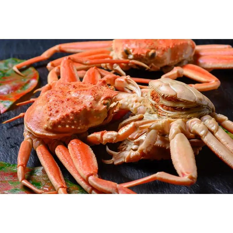 【蟹の匠 魚政】内子外子が美味! 茹でたて セイコガニ（セコ蟹）（香箱ガニ）（こっぺ）中大サイズ 5匹セット かに