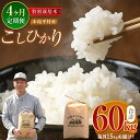 【ふるさと納税】【 4回 定期便 】 特別栽培米 こしひかり 15kg × 4回 小池ファーム | 米 こしひかり コシヒカリ 定番 品種 特別栽培 定期 寒暖差 木島平村 長野県 信州