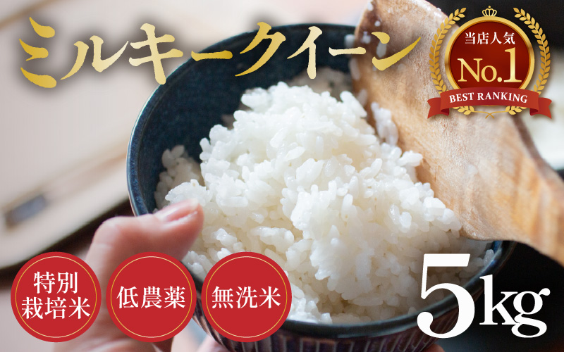 【令和8年産 新米】ミルキークイーン 5kg 無洗米 特別栽培米 低農薬 《食味値85点以上！こだわり無洗米》 / 福井県 あわら市 北陸 米 お米 人気 白米 精米 [aw032-a018]