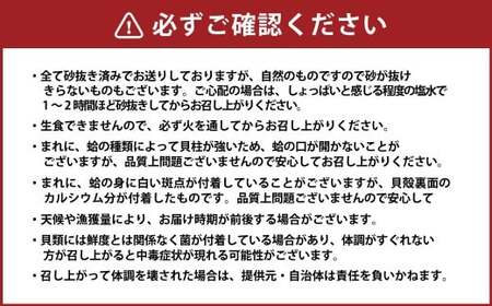 【特大】 桑名産蛤（ハマグリ） 5.0kg はまぐり 蛤 天然蛤 砂出し済 023-0034