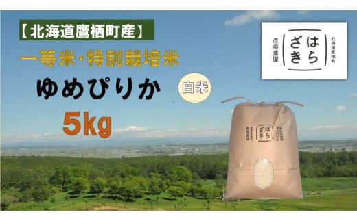 A271【令和7年産】一等米・特別栽培米 5kg【ゆめぴりか白米】5kg×1袋（農薬7割減）北海道 鷹栖町 原崎農園