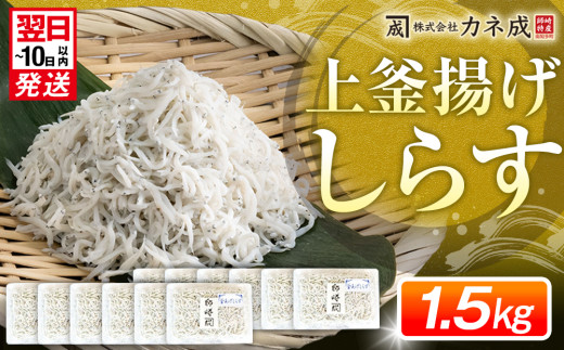 釜揚げ しらす プレミアム 約1.5kg ( 130g × 12 パック ) 小分け 【12月26日までのご寄付で 年内発送可】 減塩 無添加 無着色 冷凍 愛知県 南知多町 ご飯 ごはん 丼 料理 シラス 国産 カネ成 人気 おすすめ