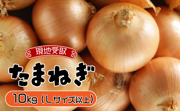 【引換券（現地受取）】市場の目利き 北海道岩見沢産たまねぎ 10kg