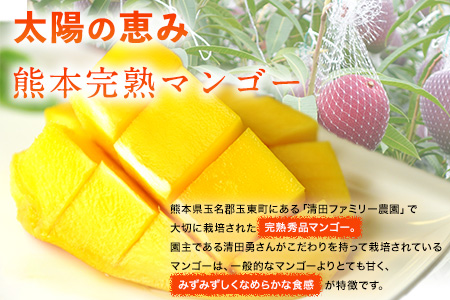 くまもと完熟マンゴー 5～6玉(約2kg～2.4kg前後) 熊本県玉名郡玉東町『清田ファミリー農園』マンゴー 完熟 秀品【日付指定不可】《5月下旬-8月末頃出荷》