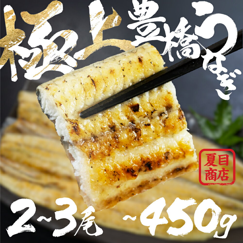 【ふるさと納税】 極上 豊橋うなぎ 白焼 選べる尾数 2尾 ～ 3尾 岩塩 付き 厳選 国産 鰻 ウナギ うなぎ 鰻 白焼き 最高級 ひつまぶし 土用丑の日 ギフト 冷凍 増量 丑の日 簡単調理 父の日 こだわり 人気 豊橋うなぎ unagi お取り寄せ 送料無料 愛知県 豊橋市