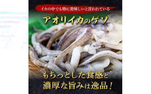 イカの王様★アオリイカのゲソ 4kg アオリイカ ゲソ 500g×8パック 4000g 4キロ イカ いか 烏賊 魚介類 げそ いかげそ 焼き 唐揚げ おつまみ 美味しい 柔らかい