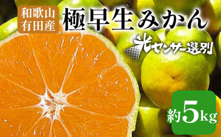 こだわりの極早生みかん 約5kg 農家直送 有機質肥料100% サイズ混合 ｜ 早生みかん 極早生 早生 柑橘 果物 くだもの 果実 フルーツ 和歌山 有田 ※北海道・沖縄・離島への配送不可 ※2025年9月下旬～10月中旬頃に順次発送予定