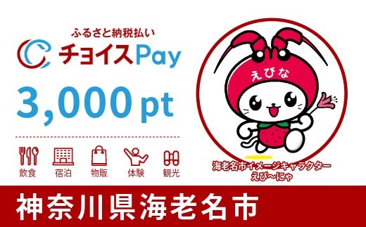 
                  海老名市チョイスPay 3,000pt【会員限定のお礼の品】
                