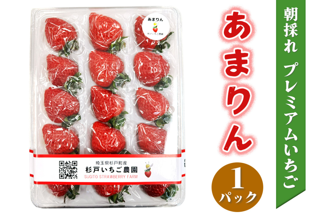 [先行予約]《あまりん》朝採れ プレミアムいちご 1パック｜埼玉 オリジナル 品種 糖度 高い 甘い 高級 イチゴ SugarBerry すぎと [0681]