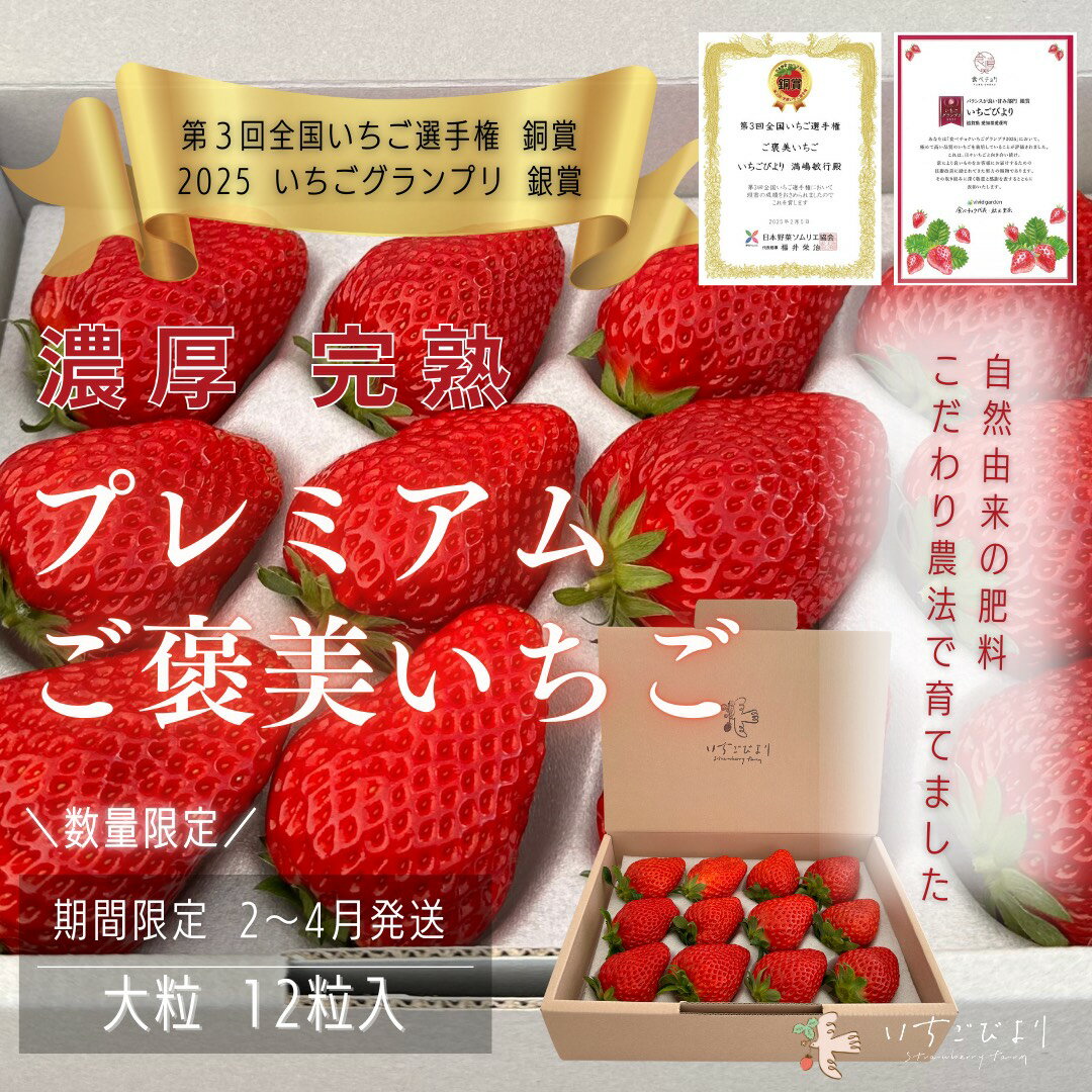 【ふるさと納税】完熟いちご大粒ギフトボックス 品種おまかせ　滋賀県愛荘町産 送料無料 いちご 紅ほっぺ よつぼし みおしずく あまえくぼ2026年2月～2026年4月頃発送　BJ02