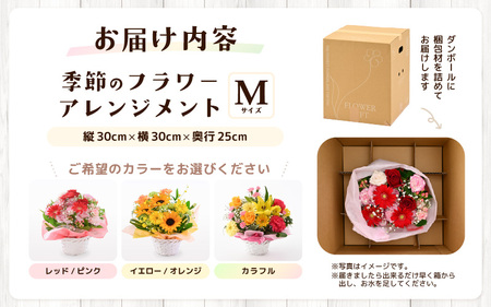 【母の日ギフト】 選べるカラー 季節のフラワーアレンジメント M (レッド・ピンク) （母の日対応） 【お花 フラワー アレジメント 花束 ギフト 生花 プレゼント 花束 花 記念日 お祝い】 [A-