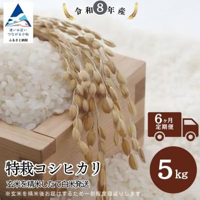 ふるさと納税 小松市 【6ヶ月定期便】特栽コシヒカリ 精米 白米 (玄米5kgを精米したて白米発送)令和8年産 のむら農産