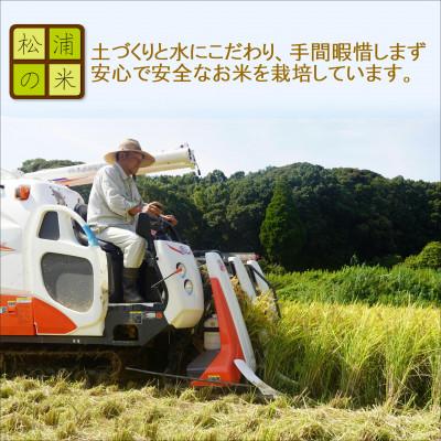 ふるさと納税 松浦市 つづら水源の森を流れる水が育む松浦の米　「ヒノヒカリ又はコシヒカリ」石倉の誉10kg |  | 02