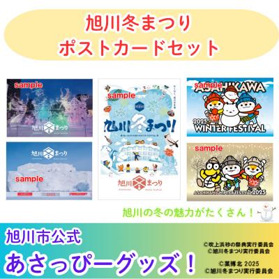 ふるさと納税 旭川市 【旭川の冬がいっぱい!】旭川冬まつりポストカード(5枚セット)_5065