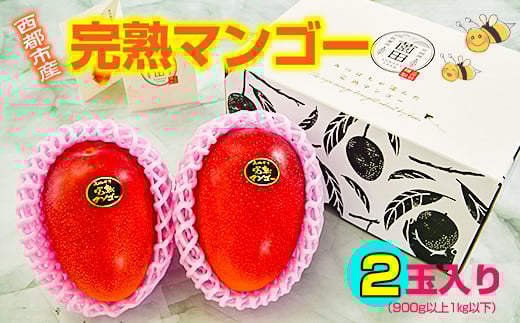 【薗田農園】西都市産完熟マンゴー2玉 900g～1kg【先行予約】＜1.8-29＞2026年発送 宮崎完熟マンゴー 果物 フルーツ 甘い