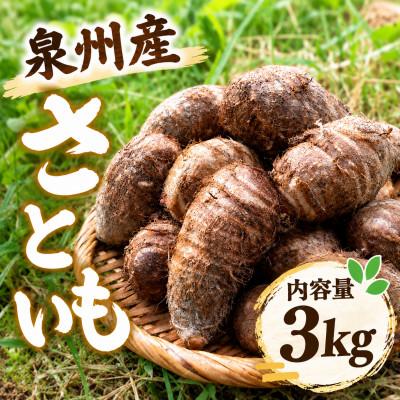ふるさと納税 阪南市 はんなん野菜便〜泉州産さといも〜