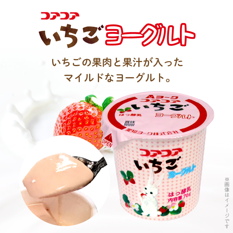 愛知ヨーク　コアコアヨーグルト＆国産ゼリーセット　16個入　ヨーグルト ゼリー デザート 国産果汁 詰め合わせ 健康 給食 保育園 幼稚園 小学校 中学校 支援学校 病院 高齢者施設