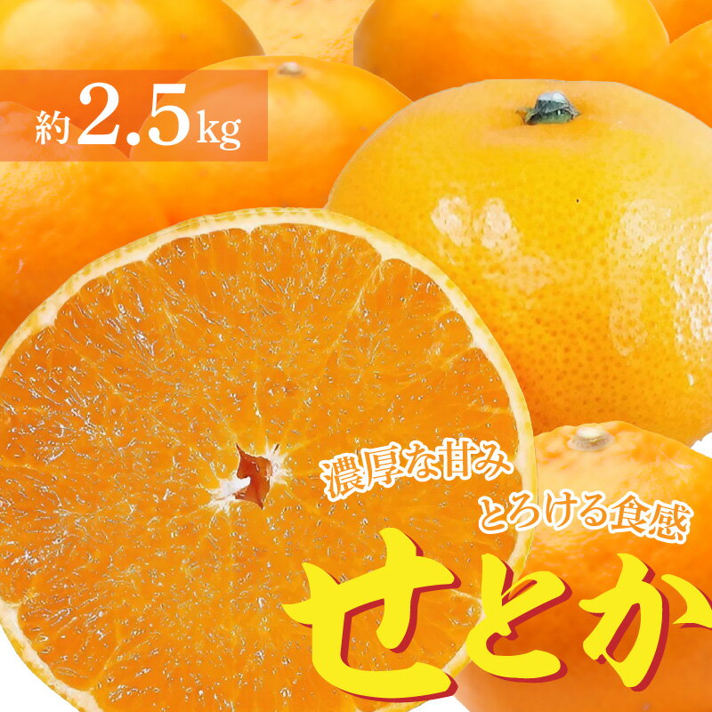 【ふるさと納税】 【配送不可地域：北海道・沖縄県・離島】【先行予約】濃厚な甘み とろけるような 食感の「せとか」 約2.5kg 1箱 9〜14個 特産品 厳選 みかん 柑橘 フルーツ王国 逸品 香川県 三豊市 常温配送 むきやすい なめらか お取り寄せグルメ 秋 旬