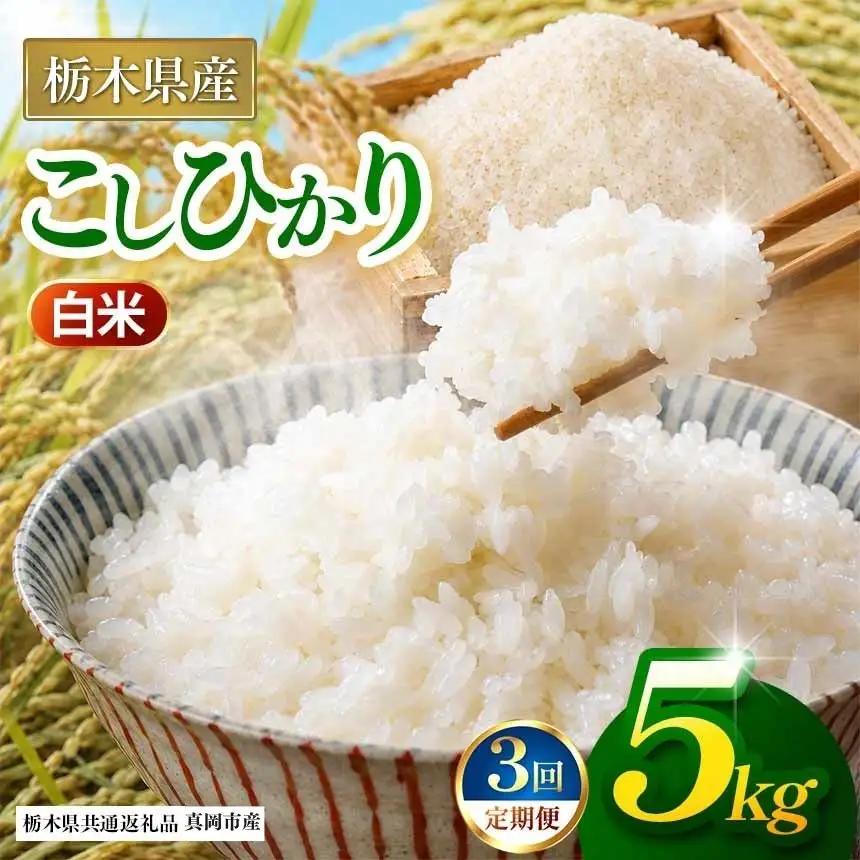 【栃木県共通返礼品】【定期3回】コシヒカリ 白米 5kg | 令和８年度産 栃木県 那珂川町 送料無料