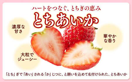栃木県産 どっさりとちあいか【750g】 | いちご ※2027年1月～発送
