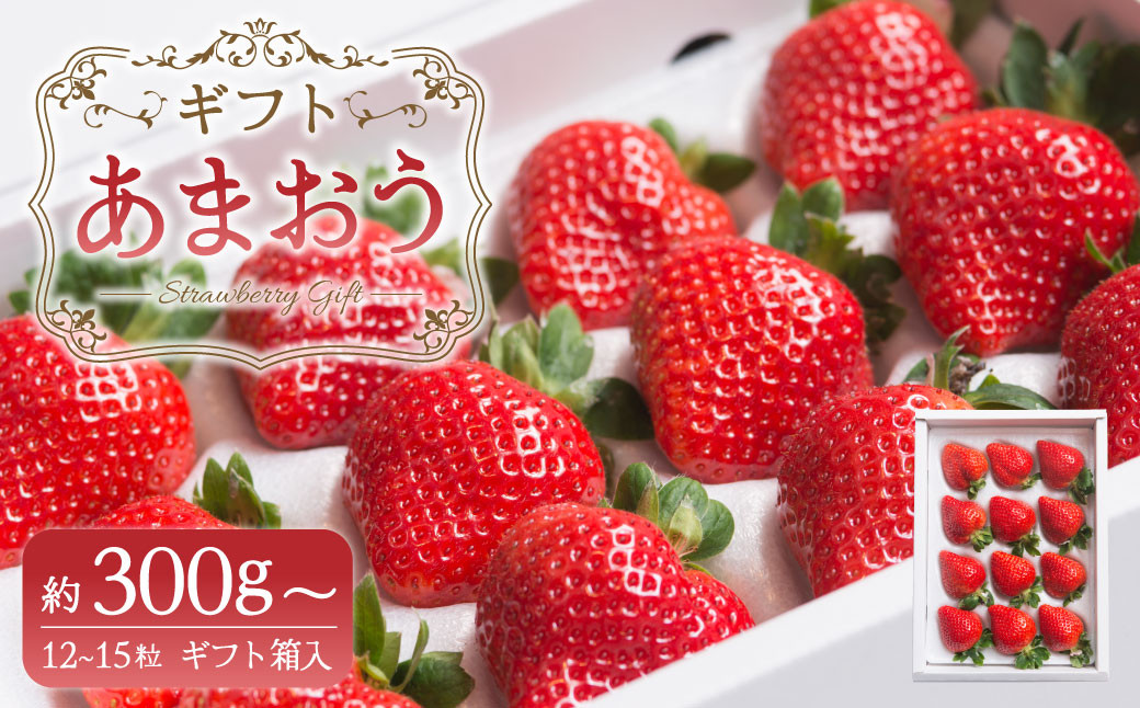 
            A160 【ギフト】 あまおう 12～15粒 いちご 【2025年12月上旬～2026年3月下旬発送予定】
          