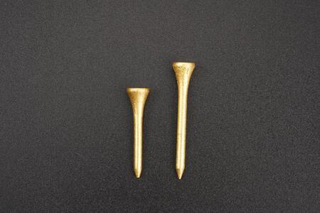 【箔一】ゴルフボール&ティーセット(シングル)  石川 金沢 加賀百万石 加賀 百万石 北陸 北陸復興 北陸支援