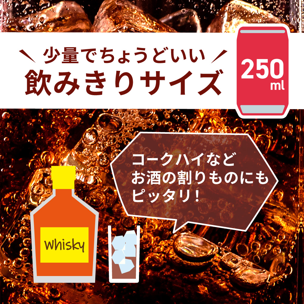 【２ヶ月定期便】コカ・コーラ(北海道限定デザイン)250ml缶×30本｜コカ・コーラ 飲料 ドリンク 飲み物 炭酸 ジュース 北海道 札幌市