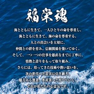 網元直伝の漁師飯！いか醤油漬けセット(計1.4kg・70g×20P) 国産 地魚 魚介 海鮮 醤油漬け 海の幸 おつまみ いか イカ ごはんのお供 冷凍【sm-AJ003】【福栄】