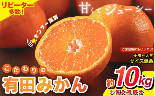 【2026年10月発送予約分】【家庭用】【農家直送】こだわりの有田みかん 約10kg＋250g(傷み補償分) 有機質肥料100%  サイズ混合　【10月発送】※北海道・沖縄・離島配送不可【nuk101-10】