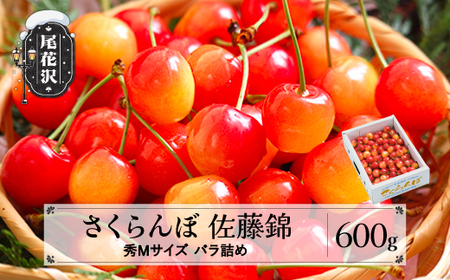 さくらんぼ 佐藤錦 秀Mサイズ 600g ns-snsmb600