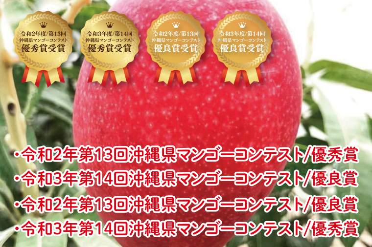 【2025年6月より順次発送】アーウィンマンゴー 3～6玉(約1.5kg)【白箱】 ご家庭用｜マンゴー アーウィンマンゴー アーウィン フルーツ 果物 くだもの おきなわマンゴー おきなわ 沖縄県 豊