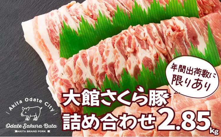 大館さくら豚詰め合わせ2.85kg　175P2151
