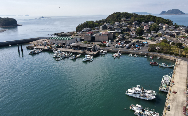 [A310p］ 【 干物 】 五島近海とれたて 一夜干し セット 直送 冷凍 小分け 鯵 カマス あじ 桜干し サバ ぶり 鰤 青アジ スルメイカ 一夜干し イカ 個包装 長崎県 佐世保市
