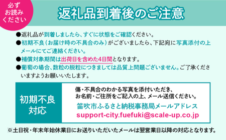 【2026年発送★先行予約】【土日祝配送】産地厳選シャインマスカット1.2kg～1.3kg（2房～3房）※沖縄・離島配送不可※ 106-003-sku02-26y シャインマスカット 発送 笛吹市 山