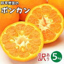 【ふるさと納税】 訳あり ポンカン 5kg 7,000円 ぽんかん フルーツ 果物 柑橘 みかん mikan 愛媛みかん ポンカンジュース 濃厚 国産 サイズミックス 人気 おすすめ 農家 温州みかん 冬 愛媛 愛媛県 愛南町 岡平農園 発送期間: 2025年1月中旬～2月末まで(なくなり次第終了)