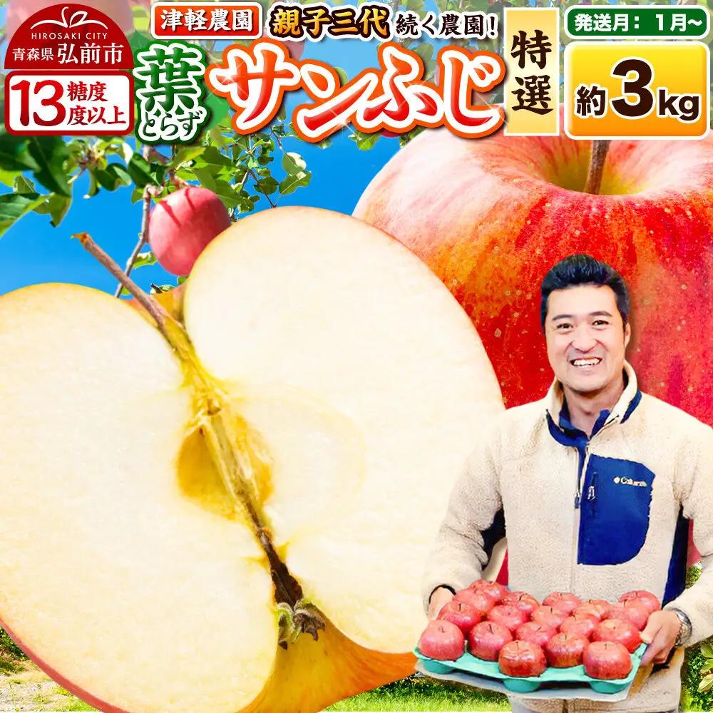 【27年1月～発送】りんご 葉とらずサンふじ【特選】約3kg 8～12玉程度【糖度13度以上】津軽農園 先行受付 青森県 弘前市 果物 フルーツ 林檎 リンゴ くだもの ギフト 贈り物