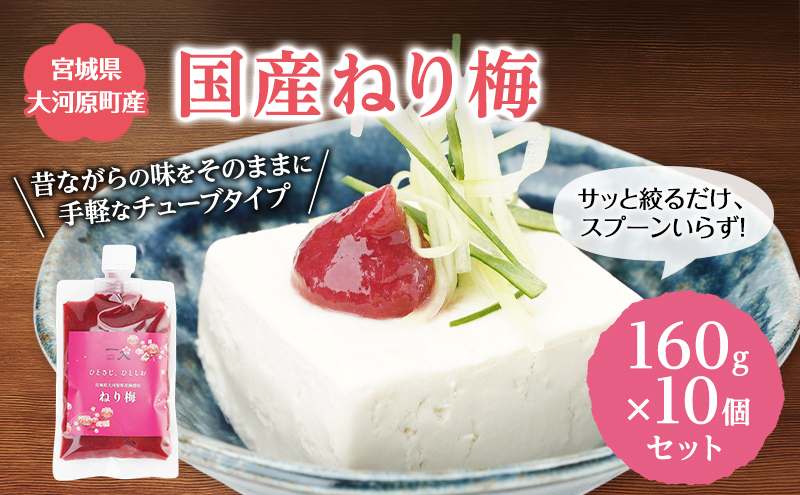 大河原産 昔ながらのねり梅 160g 10袋セット お弁当や和え物に ねり梅 練り梅 練梅 梅干し 梅干 うめぼし ウメボシ 梅 おにぎり 弁当 お弁当