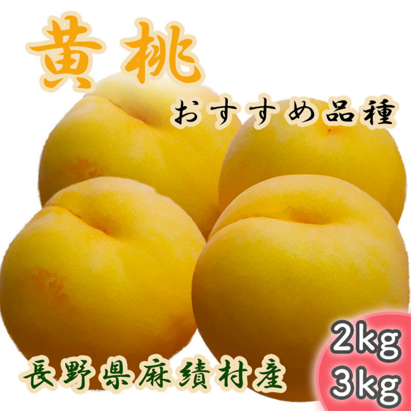 【ふるさと納税】【2025年 先行予約】黄桃 桃 選べる 2kg 3kg 黄金桃 黄貴妃 おまかせ品種 おすすめ品種 フルーツ 果物 産地直送 予約 長野県 長野 麻績村 麻績 新返礼品 令和7年 令和7年分 収穫分 8月 9月 8月下旬 9月上旬 9月中旬