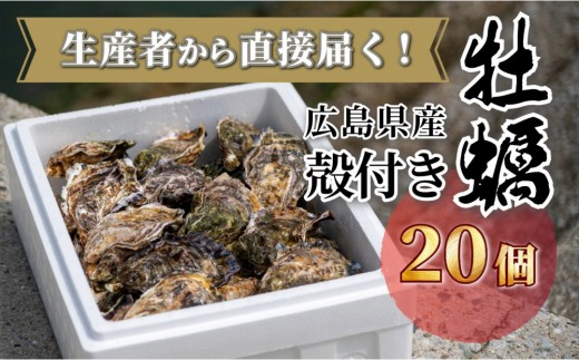 
                  牡蠣　殻付き　20個（3月限定） | 牡蠣 殻付き 海鮮 国産 広島 新鮮 生牡蠣 海の幸 バーベキュー お取り寄せ 人気 | 牡蠣　殻付き　20個（3月限定）
                