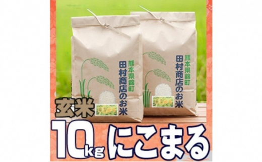 
米 10kg 令和5年 にこまる 5kg×2 玄米 こめ
