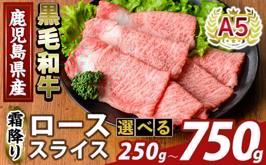 
            K-480 ＜選べる容量＞鹿児島県産A5等級黒毛和牛霜降りローススライス(計250g～750g) 【KNOT】霧島市 牛肉 国産 鹿児島県産 ロース スライス 肉 精肉 
          