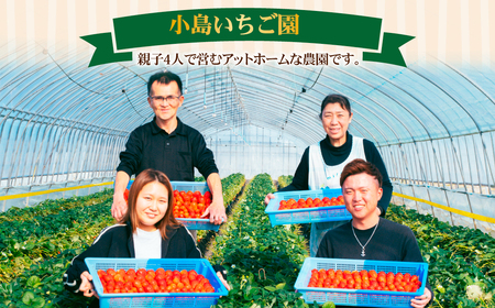 いちご 定期便3回 完熟 とちあいか 大粒 約1080g | イチゴ 大粒 栃木県 茂木町