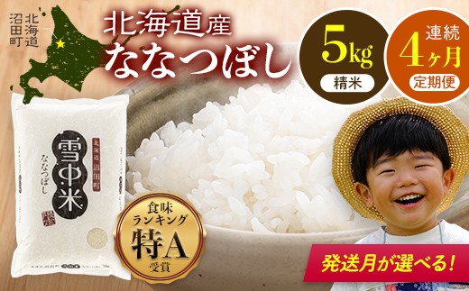 
                  令和8年産【定期便4ヶ月】ななつぼし 精米 5kg（5kg×1袋）【発送月が選べる】開始 雪冷気 籾貯蔵 雪中米 北海道 nr-2184var
                