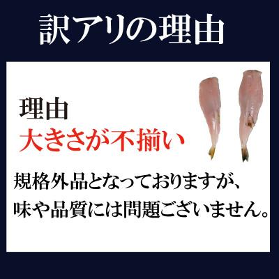ふるさと納税 南知多町 訳あり サバフグ 2kg 鍋 から揚げ 用 |  | 03
