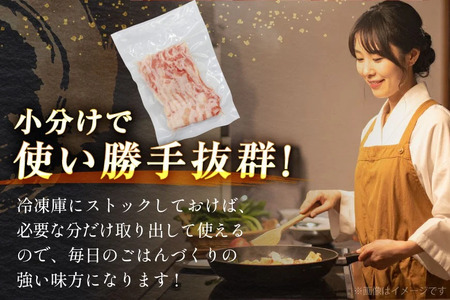 豚肉 バラエティ セット 計1.5kg 6回 定期便 [司フーズ・システム 兵庫県 三田市 3d28bdy500019]