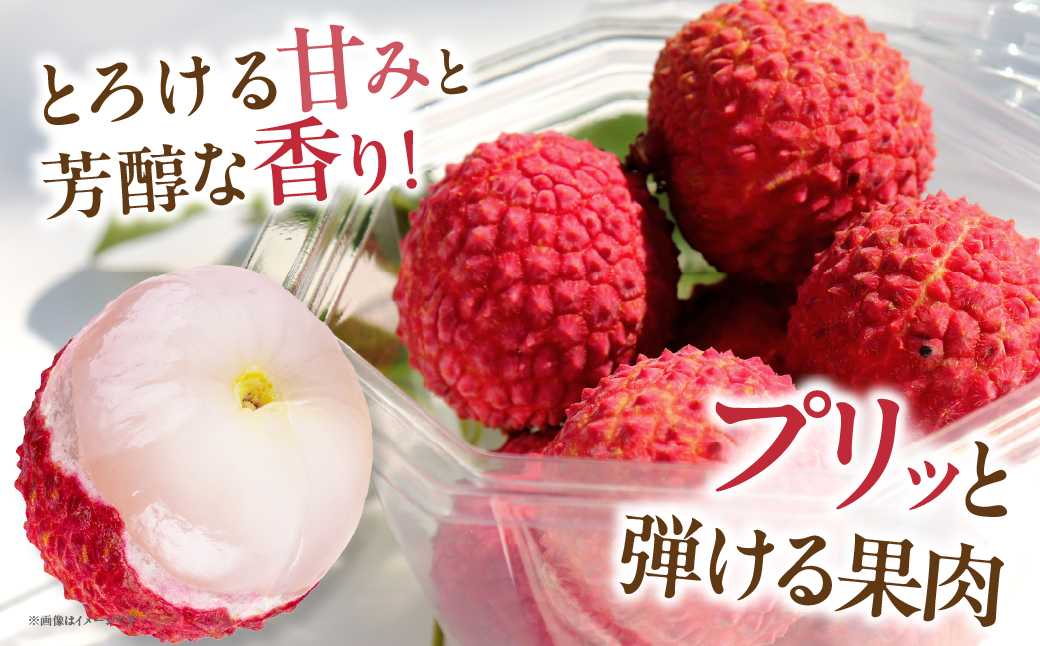 【数量限定】希少 綾生ライチ お裾分けセット  [６パック] 宮崎県 綾町産 ライチ 国産ライチ 果物 フルーツ 生ライチ 産地直送 期間限定 お中元 小分け 送料無料【JA綾町】_A0114-105